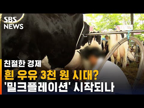 시중 흰 우유 3천 원 넘는다…&#39;밀크플레이션&#39; 시작되나 / SBS / 친절한 경제