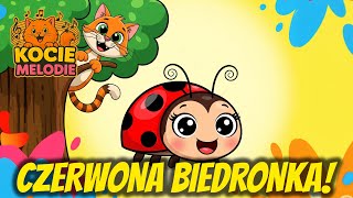 Czerwona Biedronka Wesoła Piosenka Dla Dzieci O Biedronce - Kocie Melodie