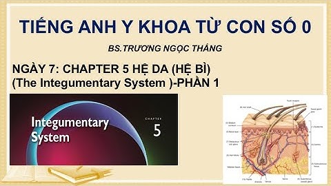 TIẾNG ANH Y KHOA TỪ CON SỐ 0: NGÀY 7- CHAPTER 5 HỆ DA (HỆ BÌ) (The Integumentary System)- PHẦN 1