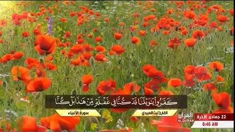 سورة الانبياء ll القارئ ليث العبيدي