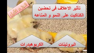 تأثير العلف على نمو و مناعة الكتاكيت اثناء الأكل (حلقه 20)