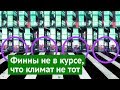 Тампере: российских чиновников на них нет!