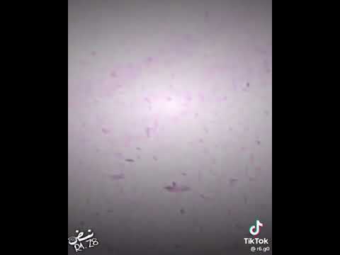 حالات واتس اب حلوين