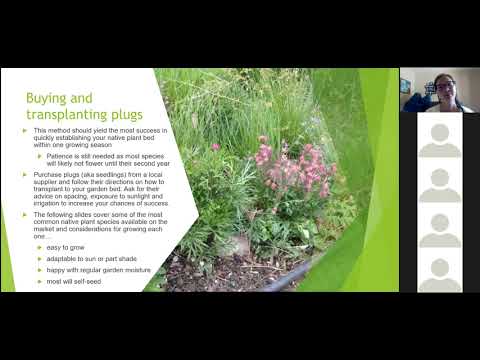Environmental Student Action
