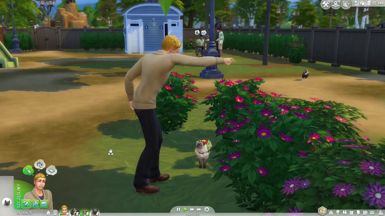 Kod Na Sterowanie Zwierzakami W The Sims 4 The Sims 4: Psy i koty - Interakcje ze zwierzakami - Ekspert Ceneo