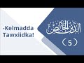 Diin Khaalis Shan Kelmadda Tawxiidka