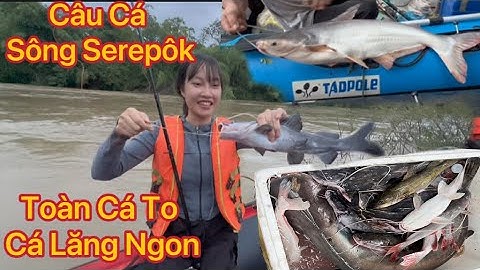 2 Ngày 1 Đêm Câu Cá Trong Rừng Biên Giới Campuchia Giữa Trời Bão , Cá Quá Nhiều !