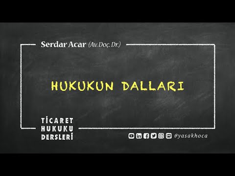 HTK-3: HUKUKUN DALLARI: Kamu Hukuku - Özel Hukuk [Hukukun Temel Kavramları]