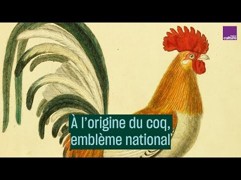 Vidéo: Symbole Du Coq De L'année