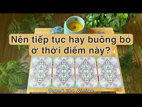 Video: Tại sao tôi muốn thử nghiệm nhân bản thú cưng sẽ kết thúc