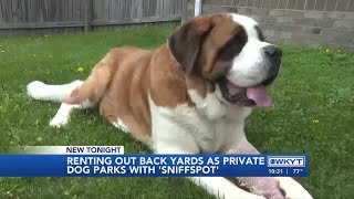 WATCH | Property rentals for your pooch: How ‘Sniffspot’ is gaining popularity across Central Ken...