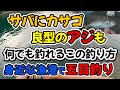 サバにカサゴに良型アジまで、何でも釣れるこの釣り方、身近な漁港で五目釣り（仕掛け解説あり）