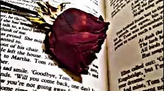 Helene Fischer - Goodbye my love until we meet again - with lyrics Helene Fischer - Goodbye my love until we meet again - with lyrics