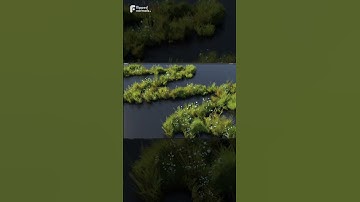 50% OFF  🖤 Flora Paint Blender Add-on