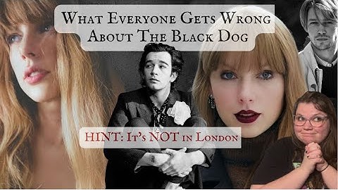 What Everyone Gets Wrong About The Black Dog | Taylor Swift Lyrics Meaning Lore and… Matty Healy?!