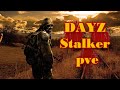 DAYZ Stalker pve