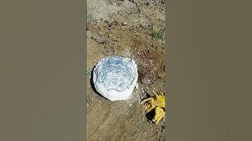 Ready for extraction | Fossilized Turtle #shorts #fossil