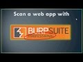 Automated Web Testing with Burp Suite Pro