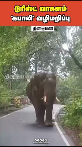 டுரிஸ்ட் வாகனம் கபாலி வழிமறிப்பு