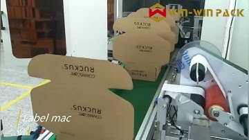 WIN-WIN PACK Automatic lockstyle tray forming machine with label machine/Corrugated tray erector