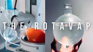 The Rotavap | Food & Drink Techniques and long term review