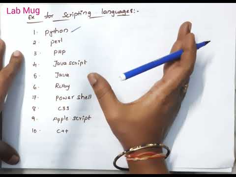 Scripting Languages and