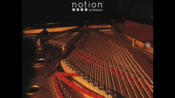 Notion iOS Quick Tips #1