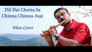 Dil hai chotta sa | Chinna Chinna Asai | Instrumental Flute Cover | Roja (1992)