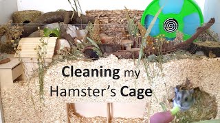 Cleaning My New Hamsters Cage For The First Time