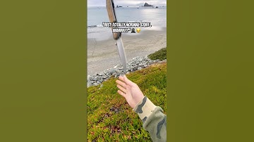 Bro just casually does this with a knife! 😳 #shorts #humor #kungfu #skills #fyp #funny #ninja #edc