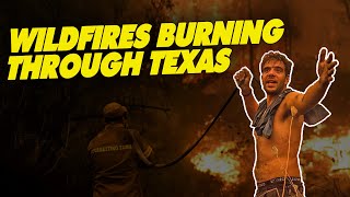 What's behind the mass wildfires in Texas?