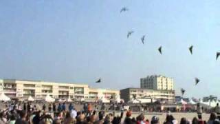 Cerfs-Volants Berck 2011 - Megateam