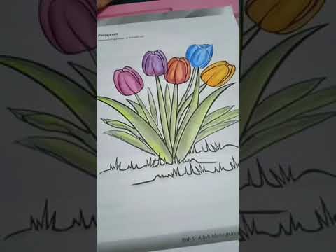 Video: Memaksa Bunga Mentol: Tulip, Gondok
