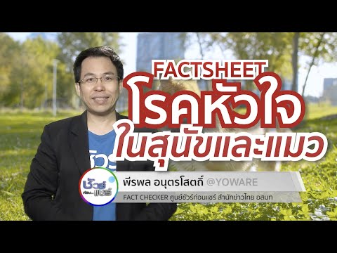 วีดีโอ: สุนัขจะให้กำเนิดได้อย่างไร?