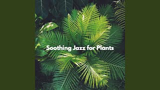 Peaceful Ambience for Playing Flashbacks