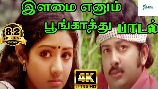 Ilamai Enum Poongatru--இளமை எனும் பூங்காற்று-S P Balasurahmanyam Melody H D Video Love Song