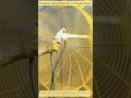 Powerful Industrial Drum Fan in Action