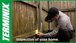What is Included in the Termite Inspection Process with Terminix?