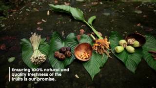 Rustic Borneo Craft - Empowering Indigenous people through Borneo Rainforest