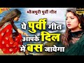 Purvi purvi nirgun      superhit bhojpuri nirgun song  nirgun rajan