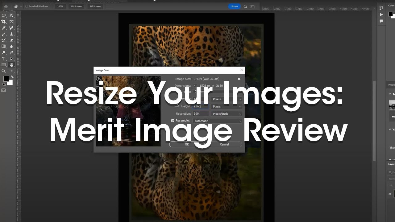 Meritt Image A Guide on Resizing Your Images for PPA's Merit Image Review - YouTube