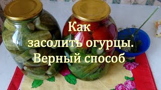 Как засолить огурцы.  Верный способ