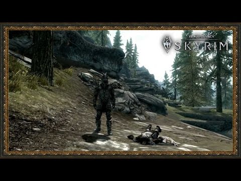 TES 5: Skyrim - Лидию переклинило!!!