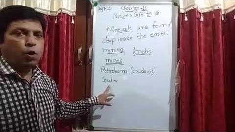 Class IV EVS 27- 07 -2020 by Mr Rupesh