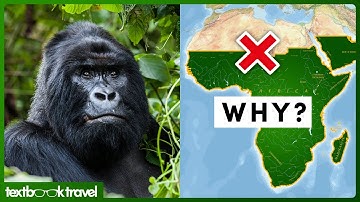 All 8 Biogeographical Realms (Animals/Geography)