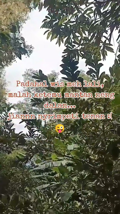 Jiantenan..terauihhh