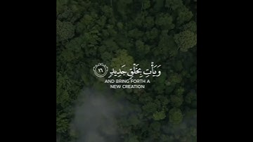 سورة فاطر   القارئ مشاري فالح