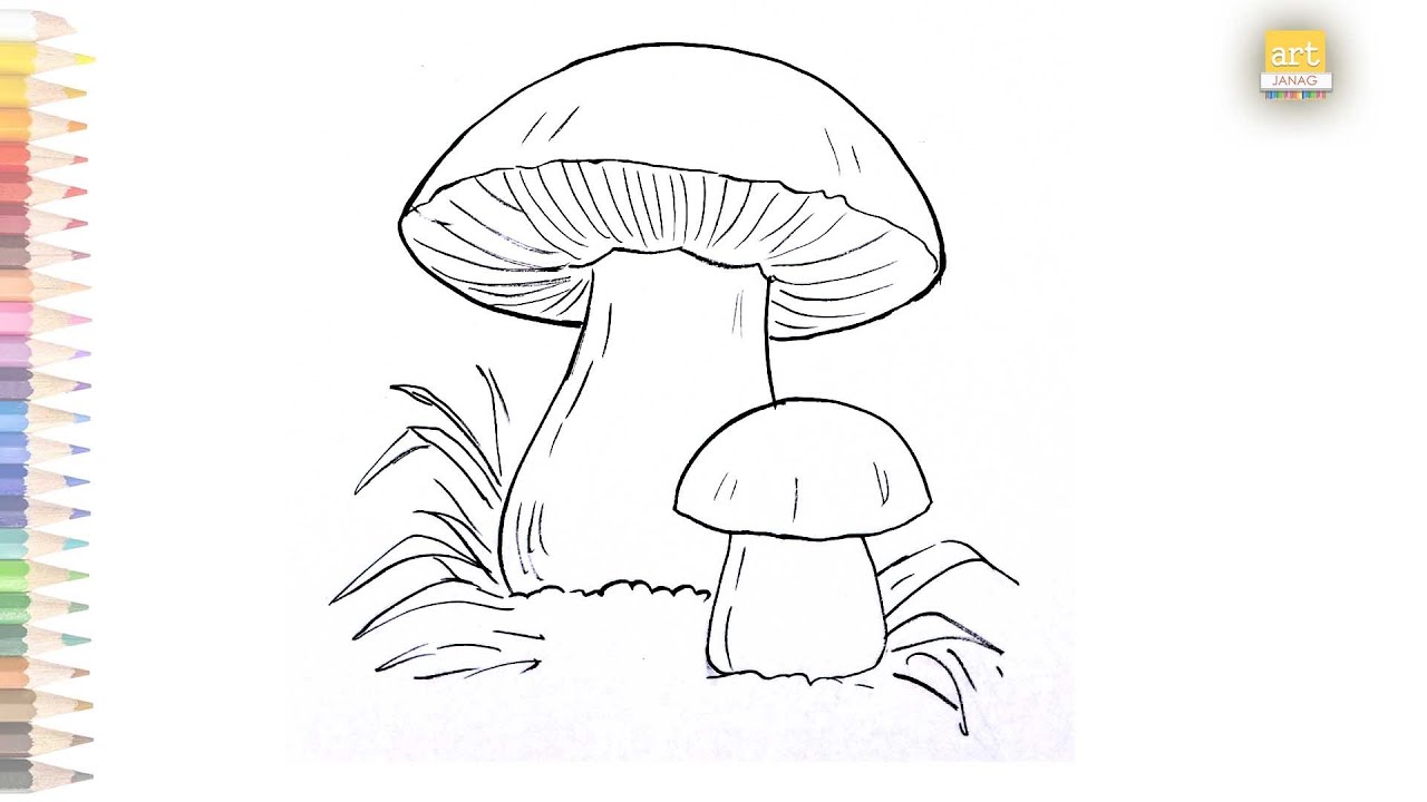 How to Draw A Mushroom – Step-by-Step Art Tutorial – Artlex