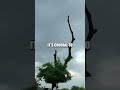 Navigating Natural Disasters: Survival Techniques for Unpredictable Environments