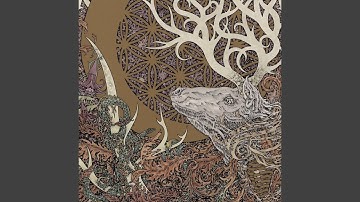 Way of Ever-Branching Paths